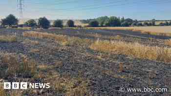 Firefighters put out field blaze