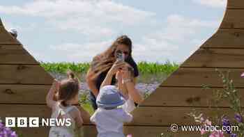 Confetti fields: a new way to make farming pay