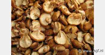 RASFF: Sulfurdioxide in shiitake paddenstoelen uit China
