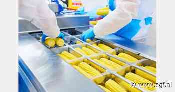 "Dankzij regenval minder irrigeren"