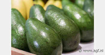 Groeispurt avocadosector Tanzania
