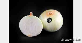 "Zoete Fuentes de Ebro-ui veranderde de manier waarop uien in Spanje worden geconsumeerd"