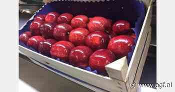 "Vroeger 70% omzet uit Rusland"