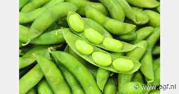 Vanuit Limburg Europa veroveren met edamame-boontjes