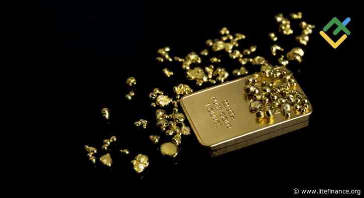 Gold Continues to Hit New Record Highs. Forecast as of 13.08.2024