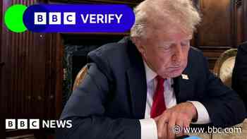 Trump's chat with Musk on X fact-checked
