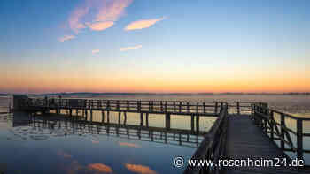 Traurige Gewissheit – Spaziergänger finden Leiche von vermissten Schwimmer (†80)