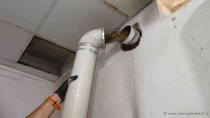 Vogelnest in gasafvoer zorgde voor dodelijke vergiftiging Angelo (21)