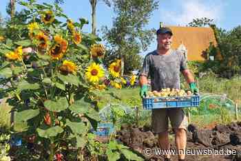 Ontdek de volkstuintjes en de wijngaard Zeewientje tijdens opentuindag