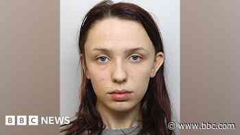 Brianna Ghey's killer was not seen as serious risk, review finds