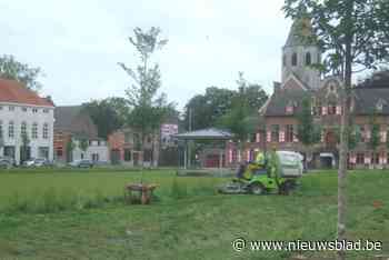 Overwoekerd plein krijgt meer maaibeurten, bloemenweides verdwijnen mogelijk