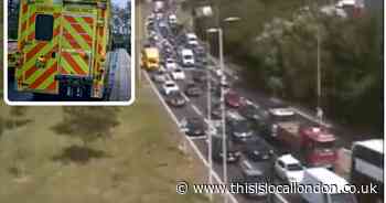 Man taken to hospital after emergency services called to flyover bridge