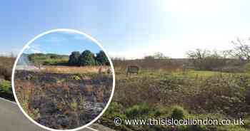 Huge area of grassland destroyed in Rainham fire after hottest day of the year
