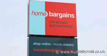 'Plain' Home Bargains vase given 'designer' makeover by BBC star