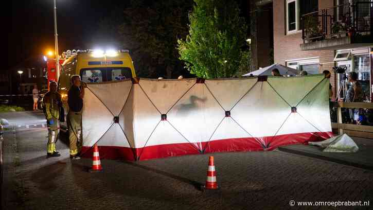 Beschonken bestuurder rijdt vrouw aan in haar tuin, rijbewijs afgepakt