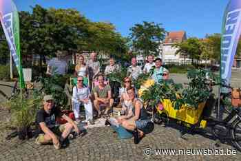 Kamerplanten en strandstoelen sieren plein op heetste dag van het jaar: “In steden slaat de hitte nog harder toe”