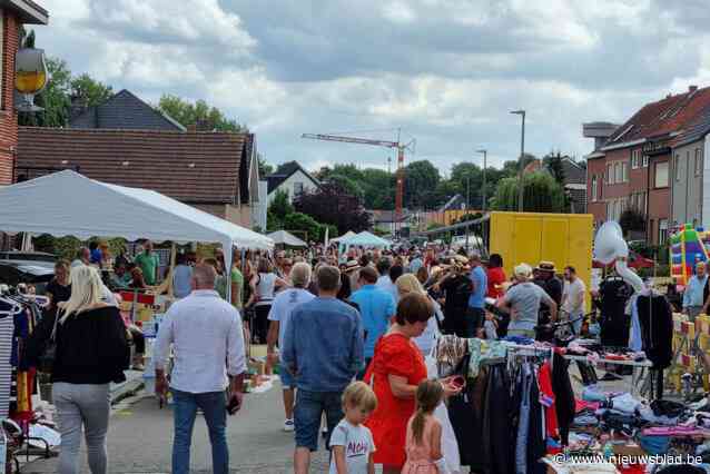 Koopjes, kinderanimatie en optredens tijdens zevende editie rommelmarkt