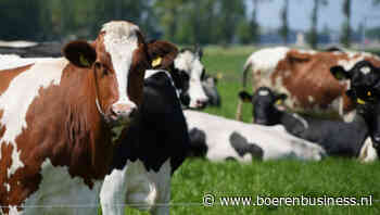 Daling van melkproductie in ons land loopt rap op