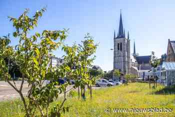 Stad trakteert op ijsje bij opening proeftuin
