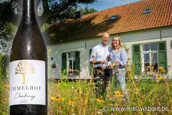 Wijndomein Emmelhof kan na vier jaar werken in de luwte eerste Chardonnay 2023 in het glas gieten (en die smaakt verrukkelijk)
