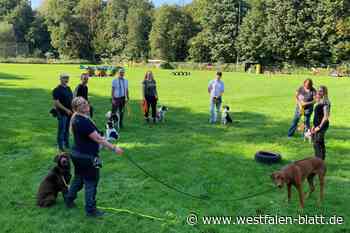 Hunde, Alpakas, Tattoos und ein Zauberer