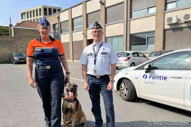 Politiezone Spoorkin heeft met Dice voor het eerst eigen politiehond: “Meerwaarde is enorm”