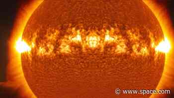 Newly found star 30 times the size of the sun has an unexpected chemical composition