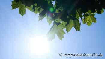 Sohn (3) in heißem Auto zurückgelassen – Vater geht währenddessen zu Prostituierter