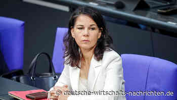 Baerbock unter Druck: UN-Sonderberichterstatterin kritisiert Selbstbestimmungsgesetz scharf