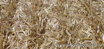 Stijgende stroprijs houdt de gemoederen bezig