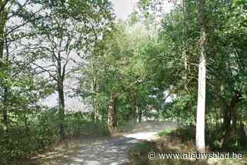 Wandelaar ontdekt levenloos lichaam van 67-jarige man: “Wellicht in water gesukkeld”