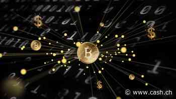 Nach Kurskorrektur: Bitcoin bleibt erste Wahl unter den digitalen Assets