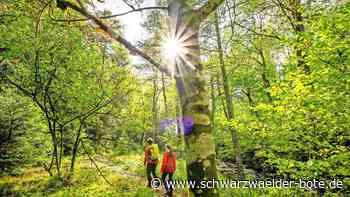 In Dobel: Outdoorabenteuer im Blick
