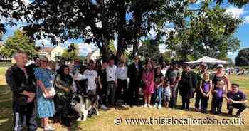 Another village green has been 'protected' from development