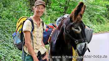 Unterwegs im Nordschwarzwald: Eselwanderin lebt ihre Träume