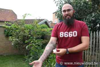 Wesley (44) verhuurt QR-code op zijn arm aan bedrijven: “Als Tomorrowland iets verborgen wil doen, mogen ze mij bellen”