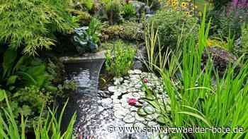Gechingen: Zu Besuch in Gärten: Das verbirgt sich hinter der „ruhigen Oase“