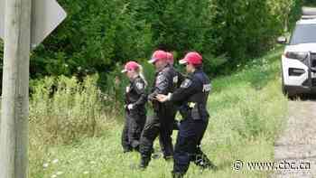 York police search for missing Markham woman in rural area