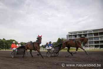 Aftellen naar Waregem Koerse is begonnen: “Voor het eerst met een ponykoers”
