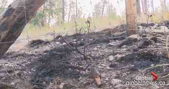 City of Surrey concerned about brush fires, with more than 400 ignited since May 1