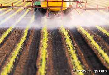 Pesticide Exposure Tied to Increased Risk for Stillbirth