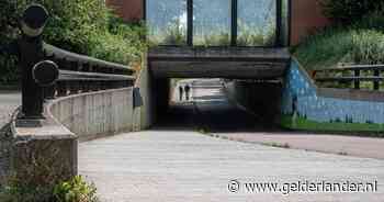 Minderjarige jongen opgepakt na mishandeling met dodelijke afloop