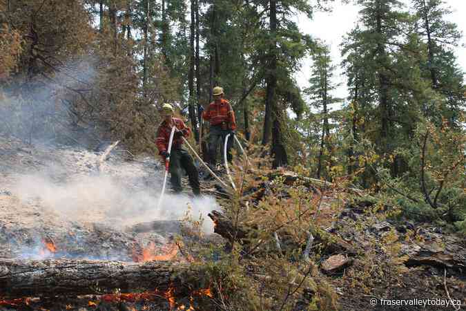 Lightning-caused wildfires expected to persist in B.C.: Wildfire Service