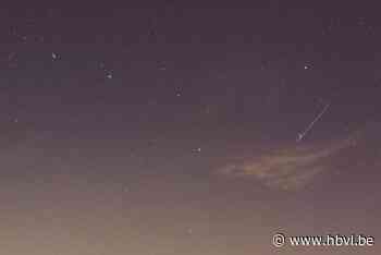 Fotograaf uit Lanklaar kiekt fraaie combinatie in zijn tuin: vallende sterren bij noorderlicht