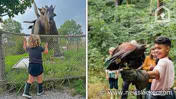 5 originele en betaalbare uitjes in Zuid-Holland en Zeeland