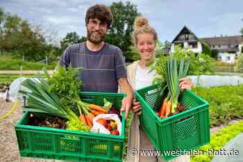 Gemüse-Lieferung im Abo: Paar bewirtschaftet Hof in Willebadessen