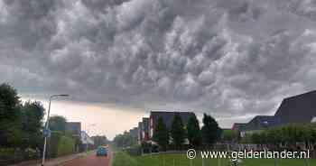 LIVE | Noodweer trekt over de regio: indrukwekkende wolken, hagel en omgevallen bomen
