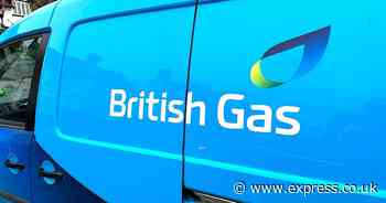 British Gas, EDF, EON and Octopus customers on state pension can to cut bill to £0