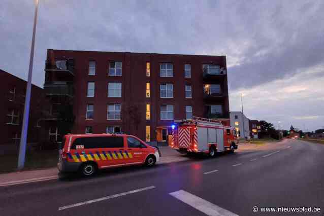 Nieuwe oven zorgt voor rookontwikkeling in flat