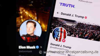 „Lassen Sie Ihre Ohren überprüfen“: Trump-Team reagiert ungehalten auf Fragen zu Lispeln bei Musk-Gespräch